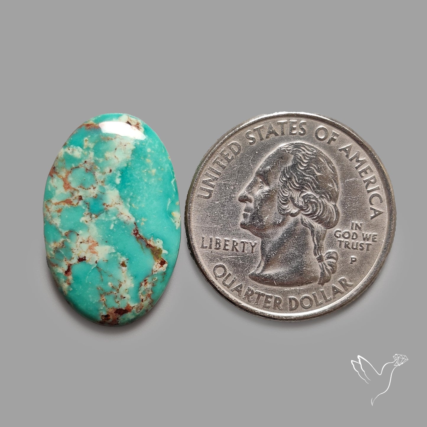 Rare Arizona Patogonia Turquoise Cabochon