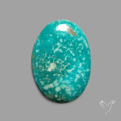 Rare Arizona Patogonia Turquoise Cabochon