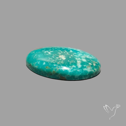Rare Arizona Patogonia Turquoise Cabochon