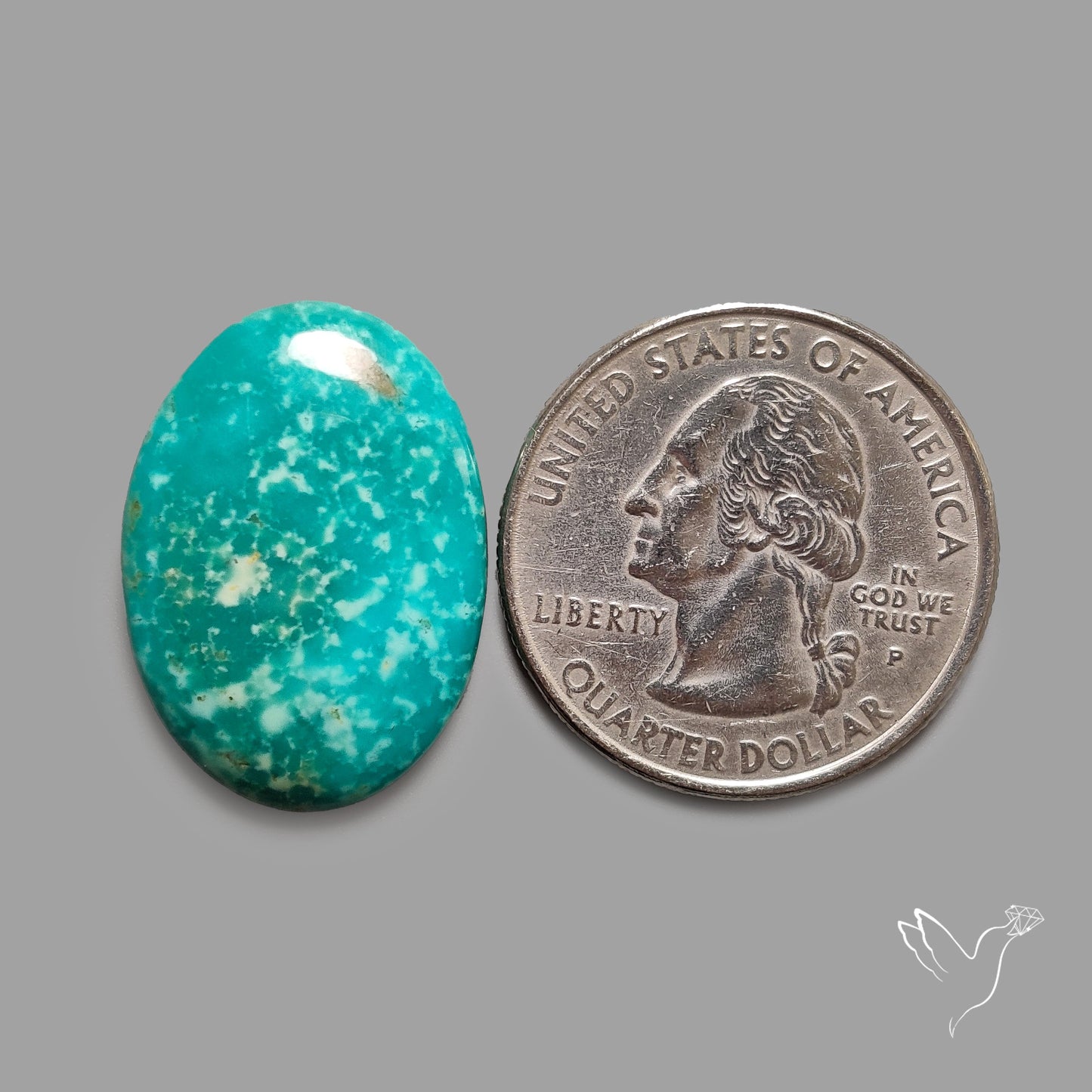 Rare Arizona Patogonia Turquoise Cabochon