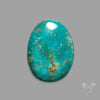 Rare Arizona Patogonia Turquoise Cabochon