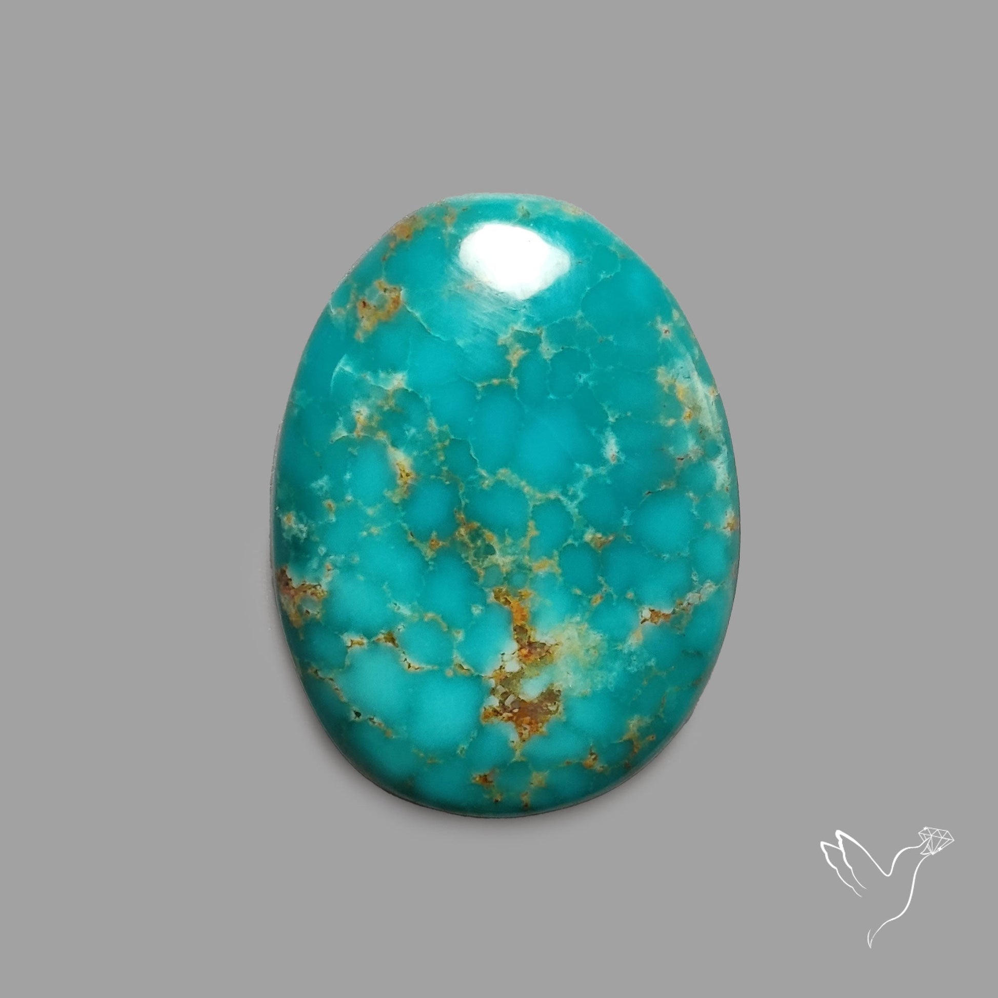 Rare Arizona Patogonia Turquoise Cabochon