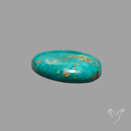Rare Arizona Patogonia Turquoise Cabochon