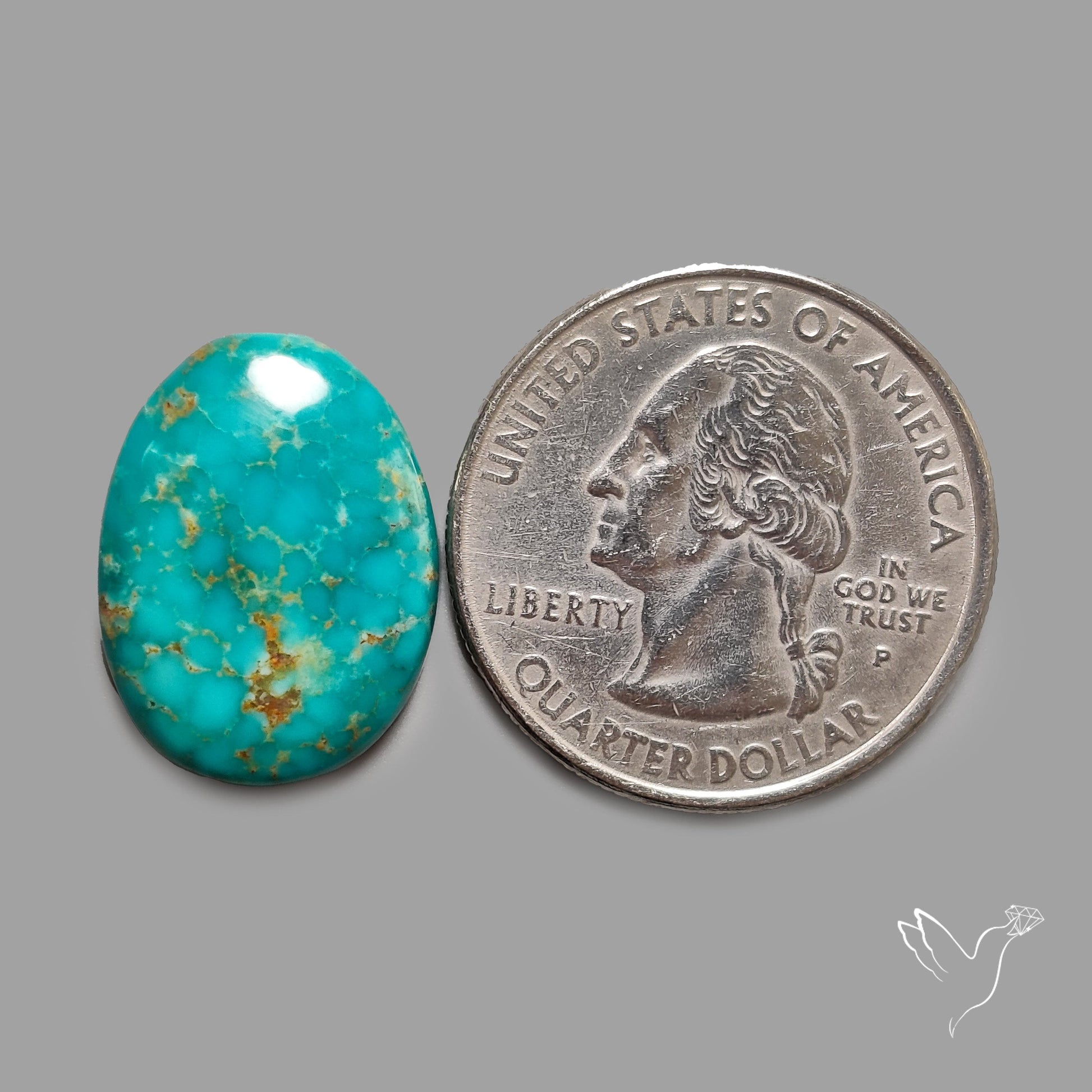 Rare Arizona Patogonia Turquoise Cabochon