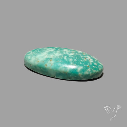 Rare Arizona Patogonia Turquoise Cabochon