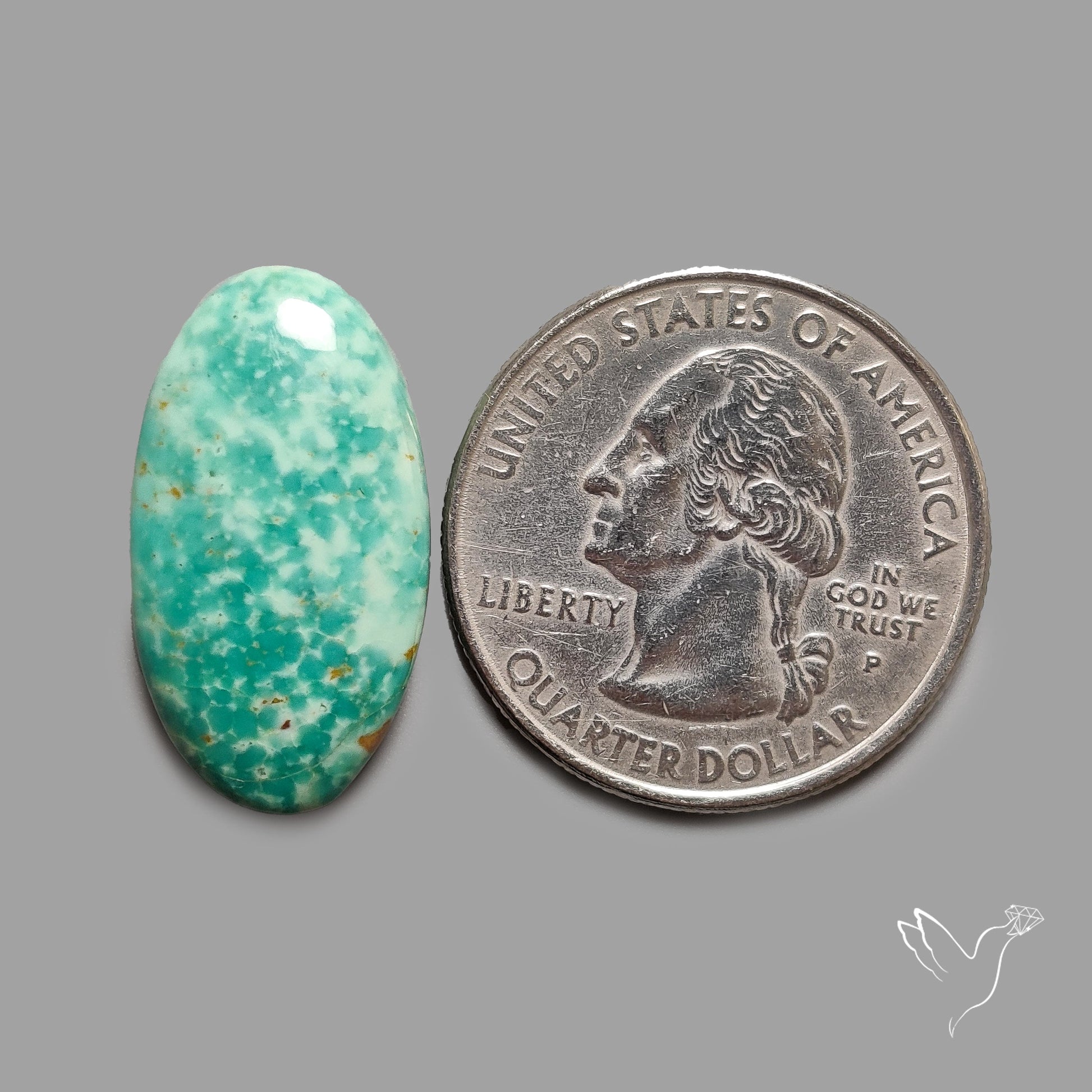 Rare Arizona Patogonia Turquoise Cabochon