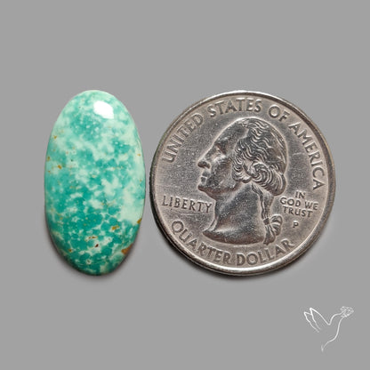 Rare Arizona Patogonia Turquoise Cabochon