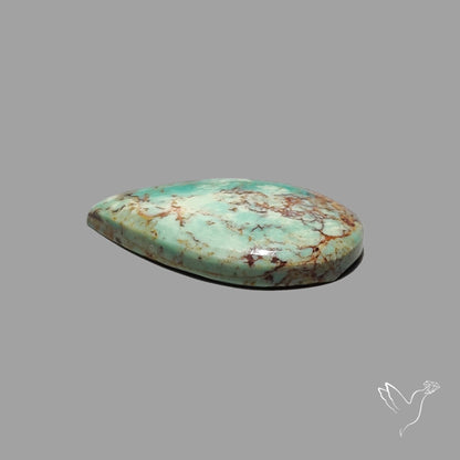Rare Arizona Patogonia Turquoise Cabochon