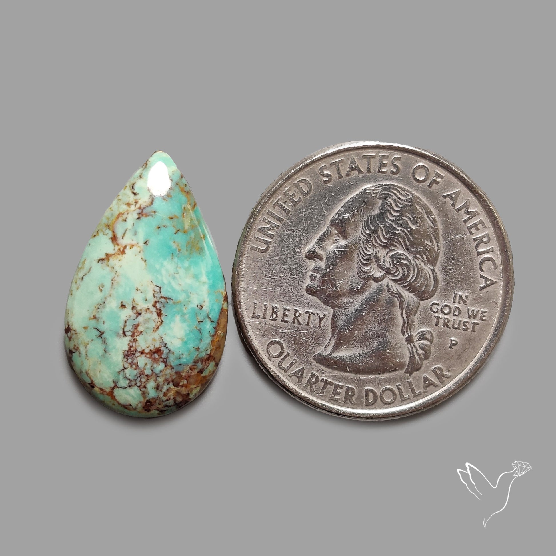 Rare Arizona Patogonia Turquoise Cabochon