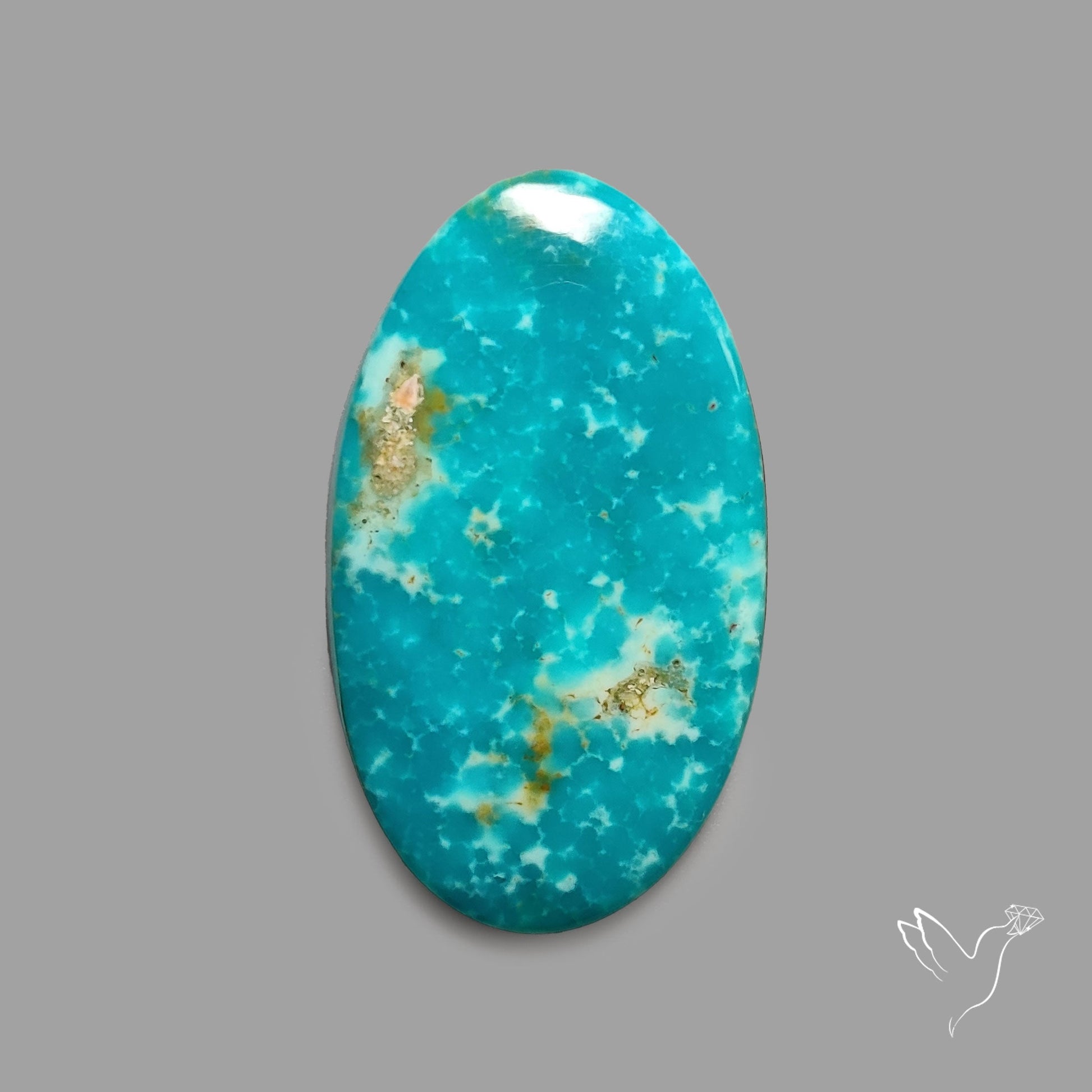 Rare Arizona Patogonia Turquoise Cabochon