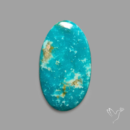 Rare Arizona Patogonia Turquoise Cabochon