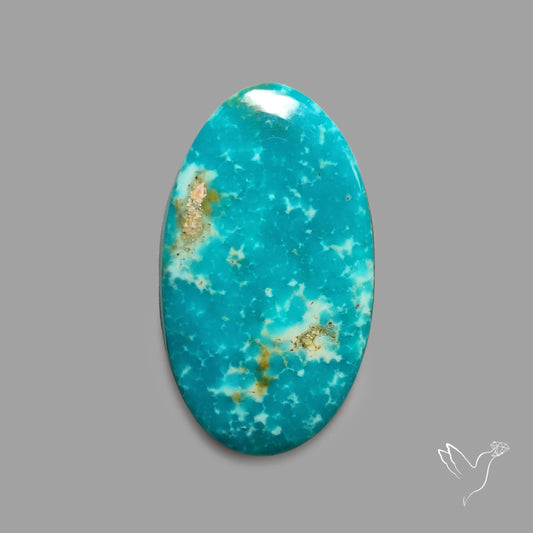 Rare Arizona Patogonia Turquoise Cabochon