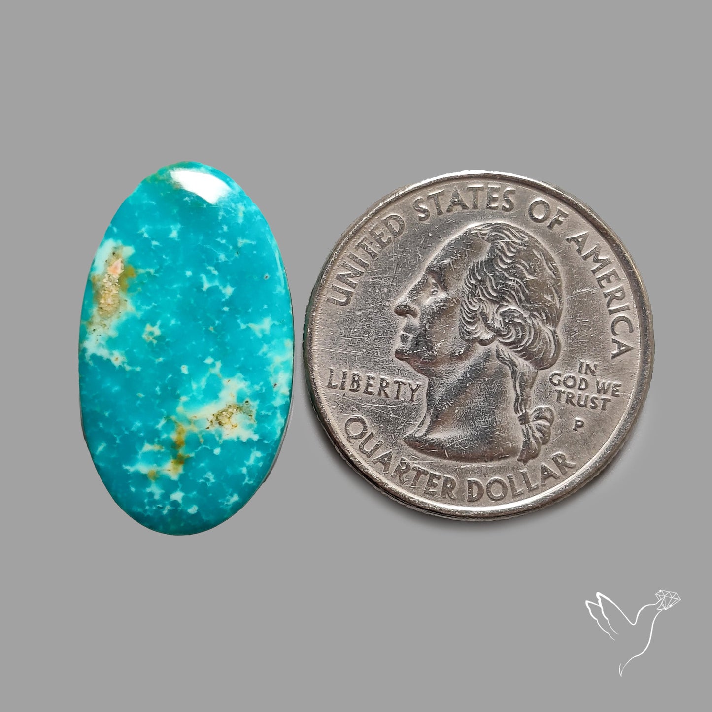 Rare Arizona Patogonia Turquoise Cabochon