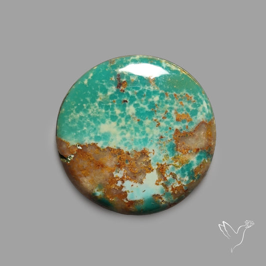 Rare Arizona Patogonia Turquoise Cabochon