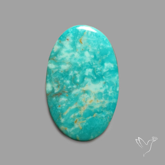 Rare Arizona Patogonia Turquoise Cabochon