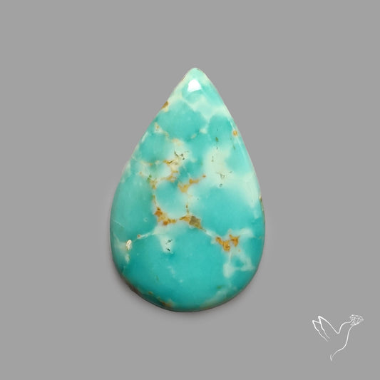Rare Arizona Patogonia Turquoise Cabochon