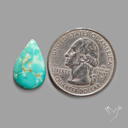 Rare Arizona Patogonia Turquoise Cabochon