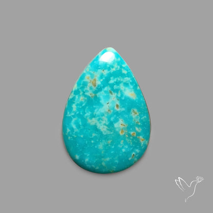 Rare Arizona Patogonia Turquoise Cabochon