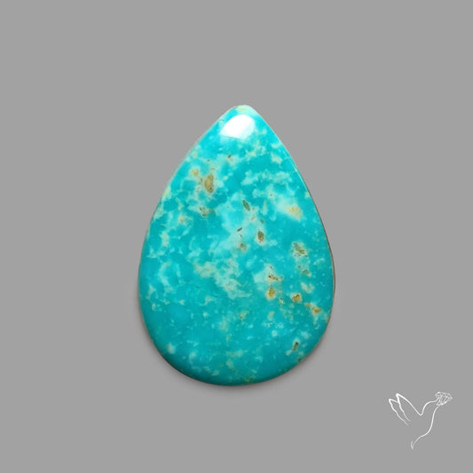 Rare Arizona Patogonia Turquoise Cabochon