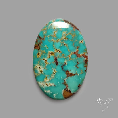 Rare Arizona Patogonia Turquoise Cabochon