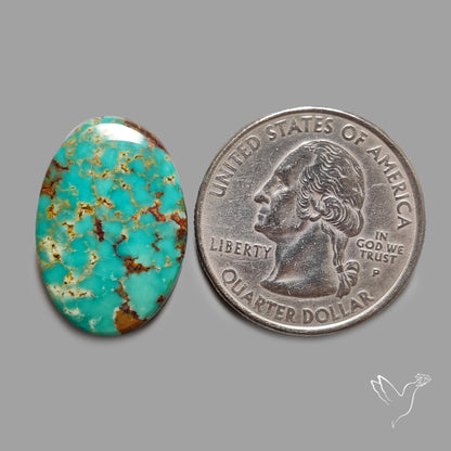 Rare Arizona Patogonia Turquoise Cabochon
