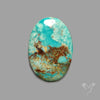 Rare Arizona Patogonia Turquoise Cabochon