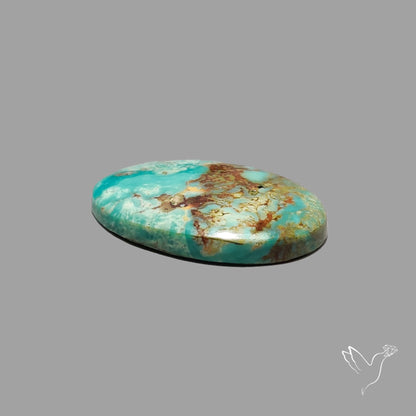 Rare Arizona Patogonia Turquoise Cabochon