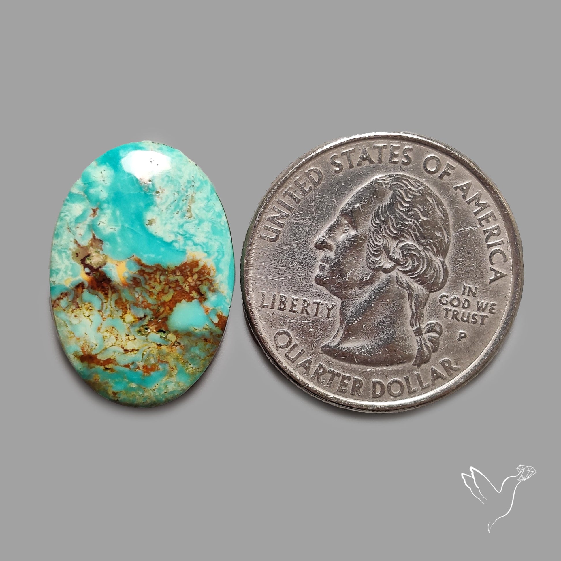 Rare Arizona Patogonia Turquoise Cabochon