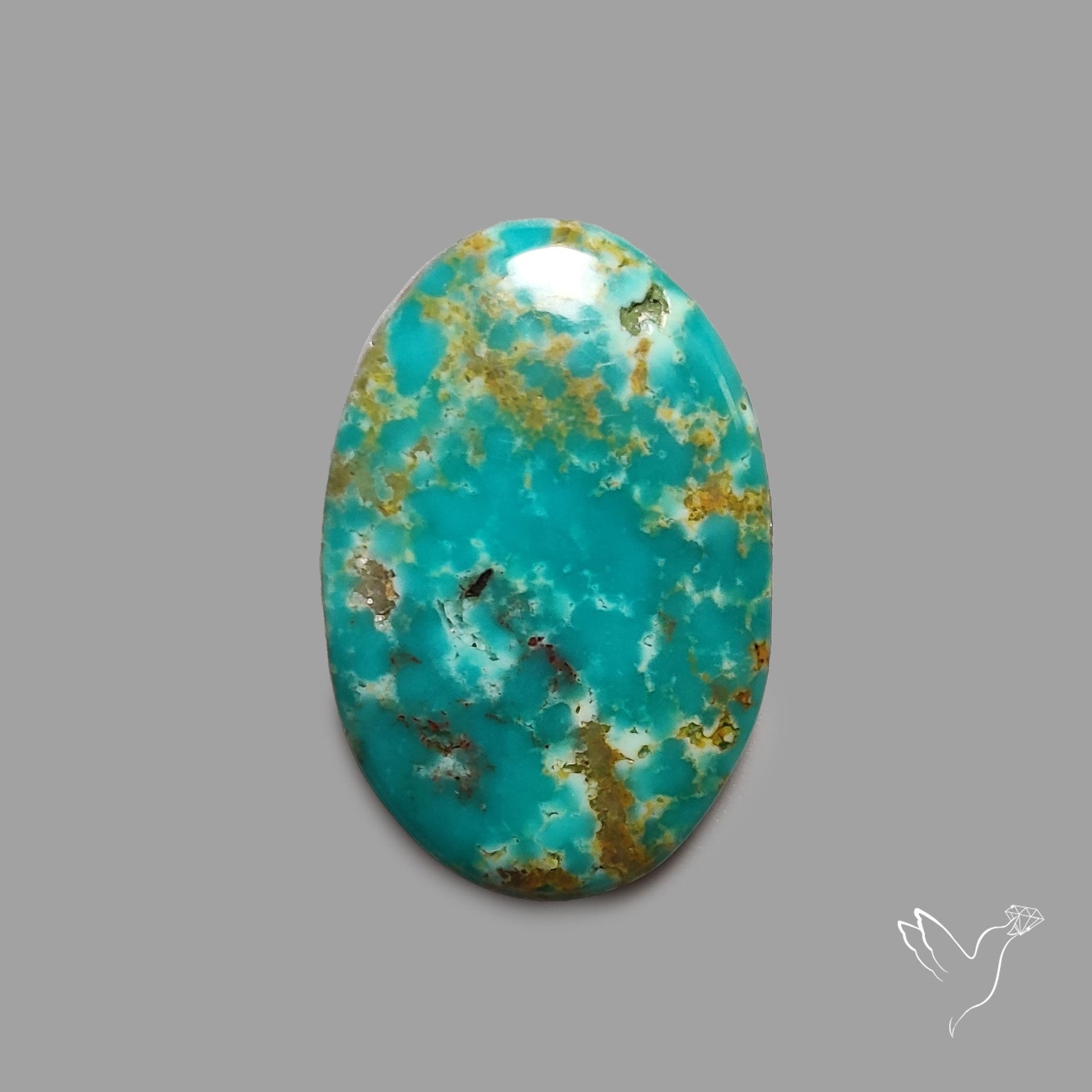 Rare Arizona Patogonia Turquoise Cabochon