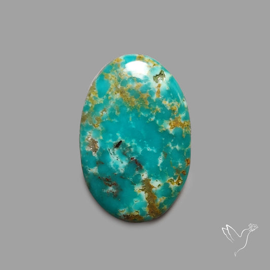 Rare Arizona Patogonia Turquoise Cabochon
