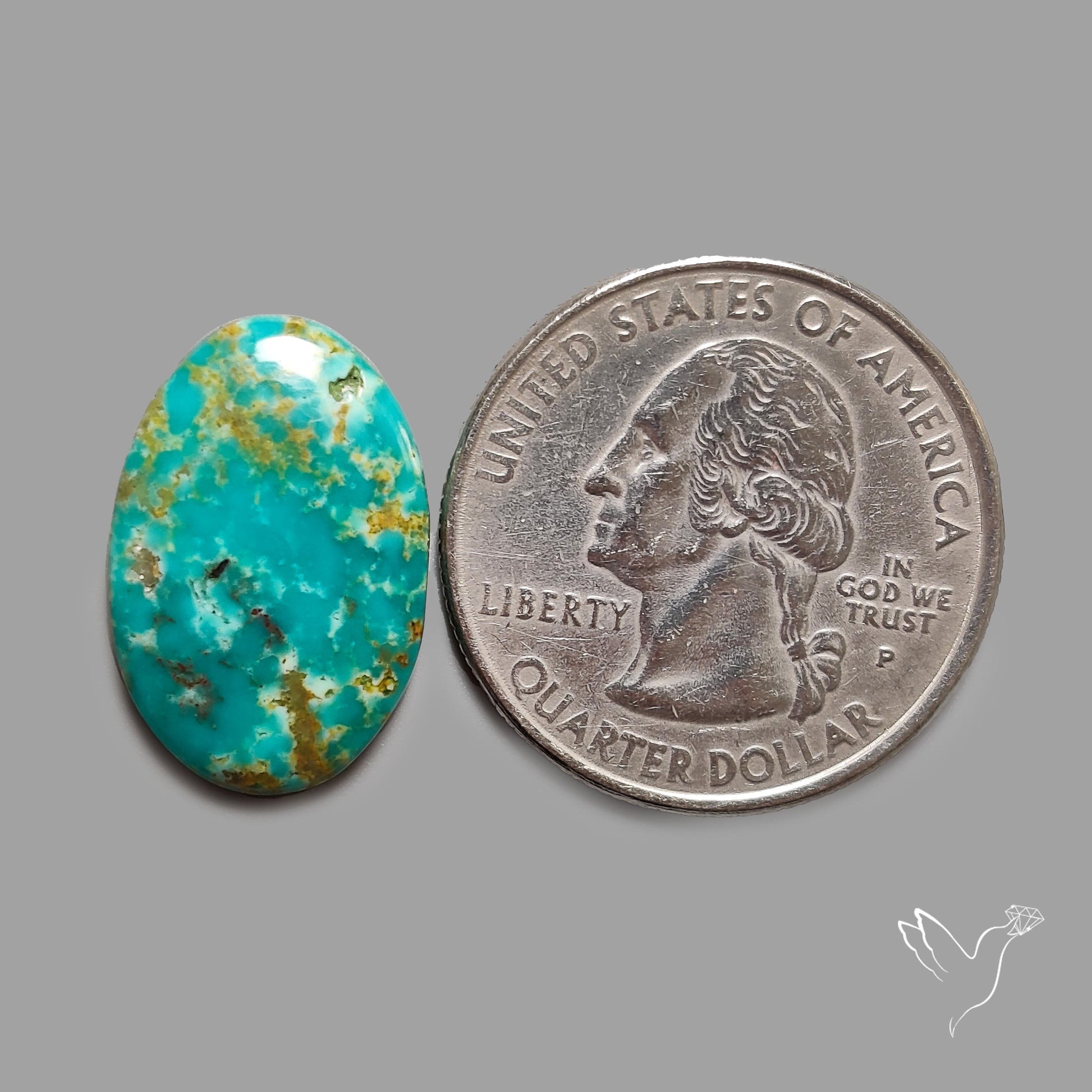 Rare Arizona Patogonia Turquoise Cabochon