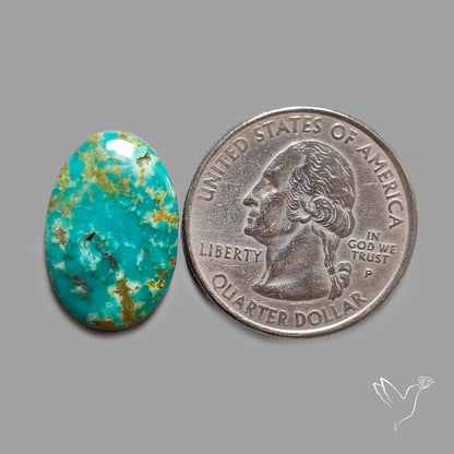 Rare Arizona Patogonia Turquoise Cabochon