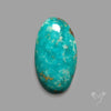 Rare Arizona Patogonia Turquoise Cabochon