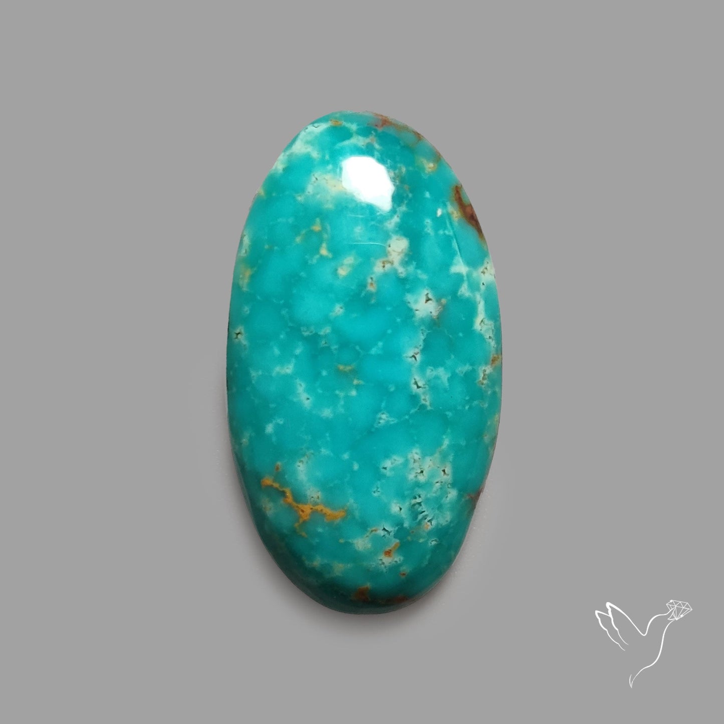 Rare Arizona Patogonia Turquoise Cabochon