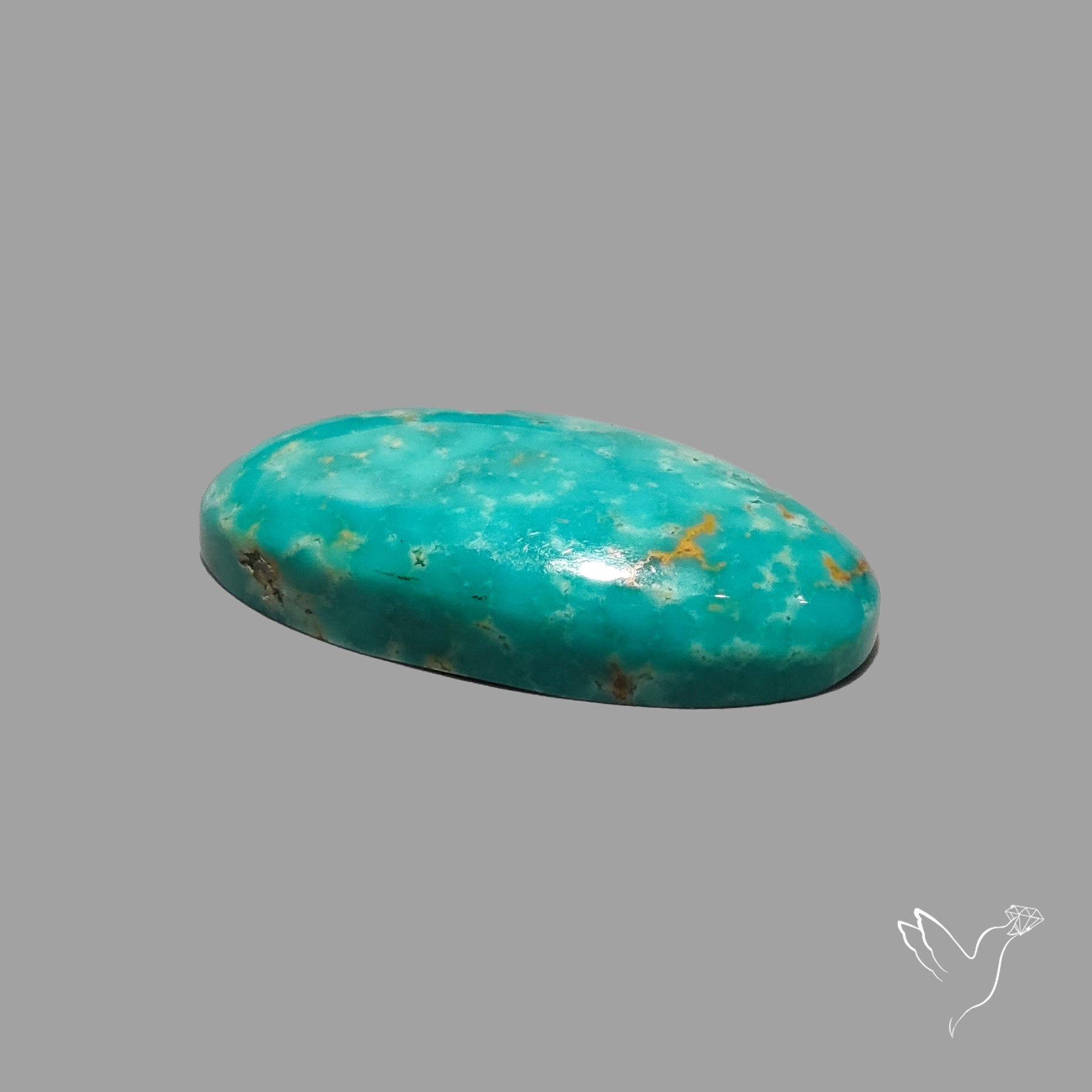 Rare Arizona Patogonia Turquoise Cabochon