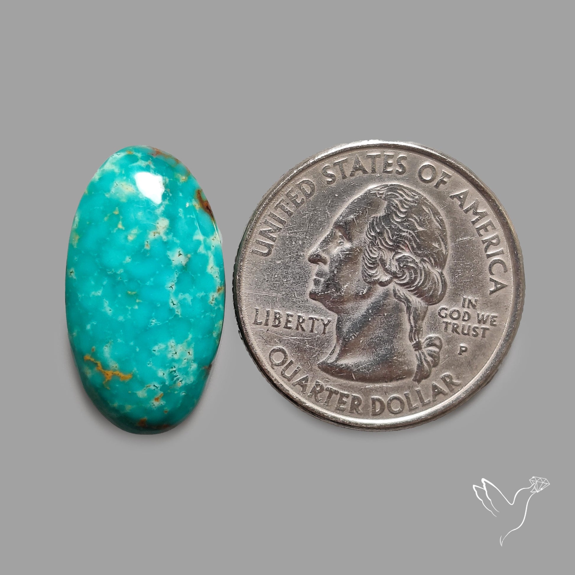 Rare Arizona Patogonia Turquoise Cabochon