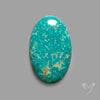 Rare Arizona Patogonia Turquoise Cabochon