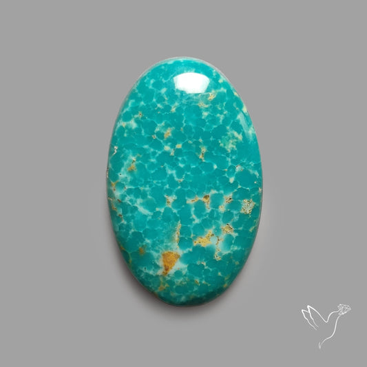 Rare Arizona Patogonia Turquoise Cabochon