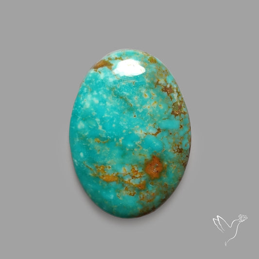 Rare Arizona Patogonia Turquoise Cabochon