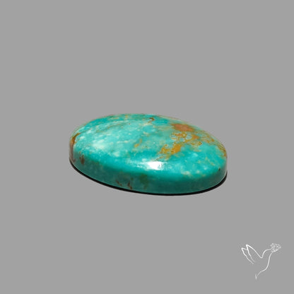 Rare Arizona Patogonia Turquoise Cabochon