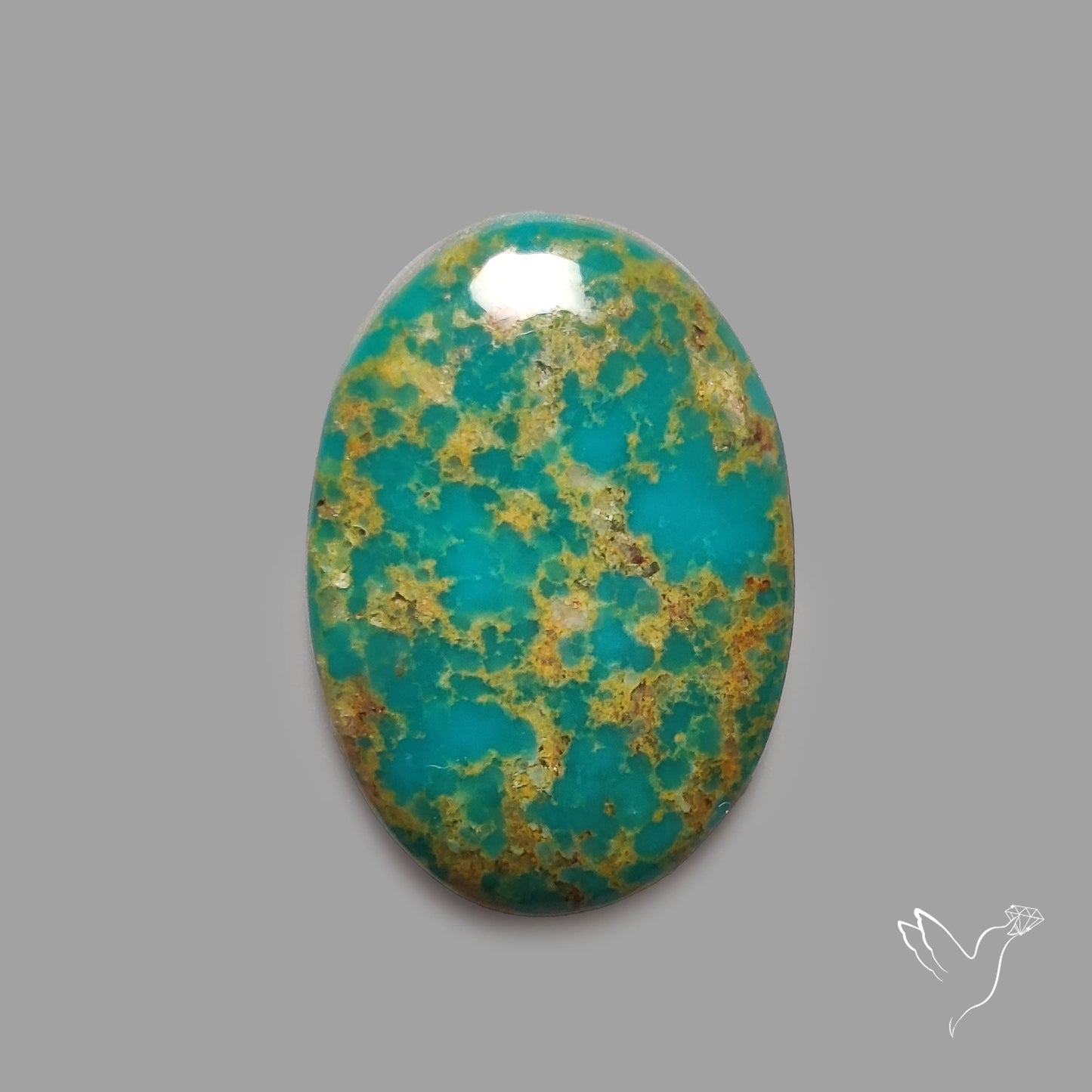 Rare Arizona Patogonia Turquoise Cabochon
