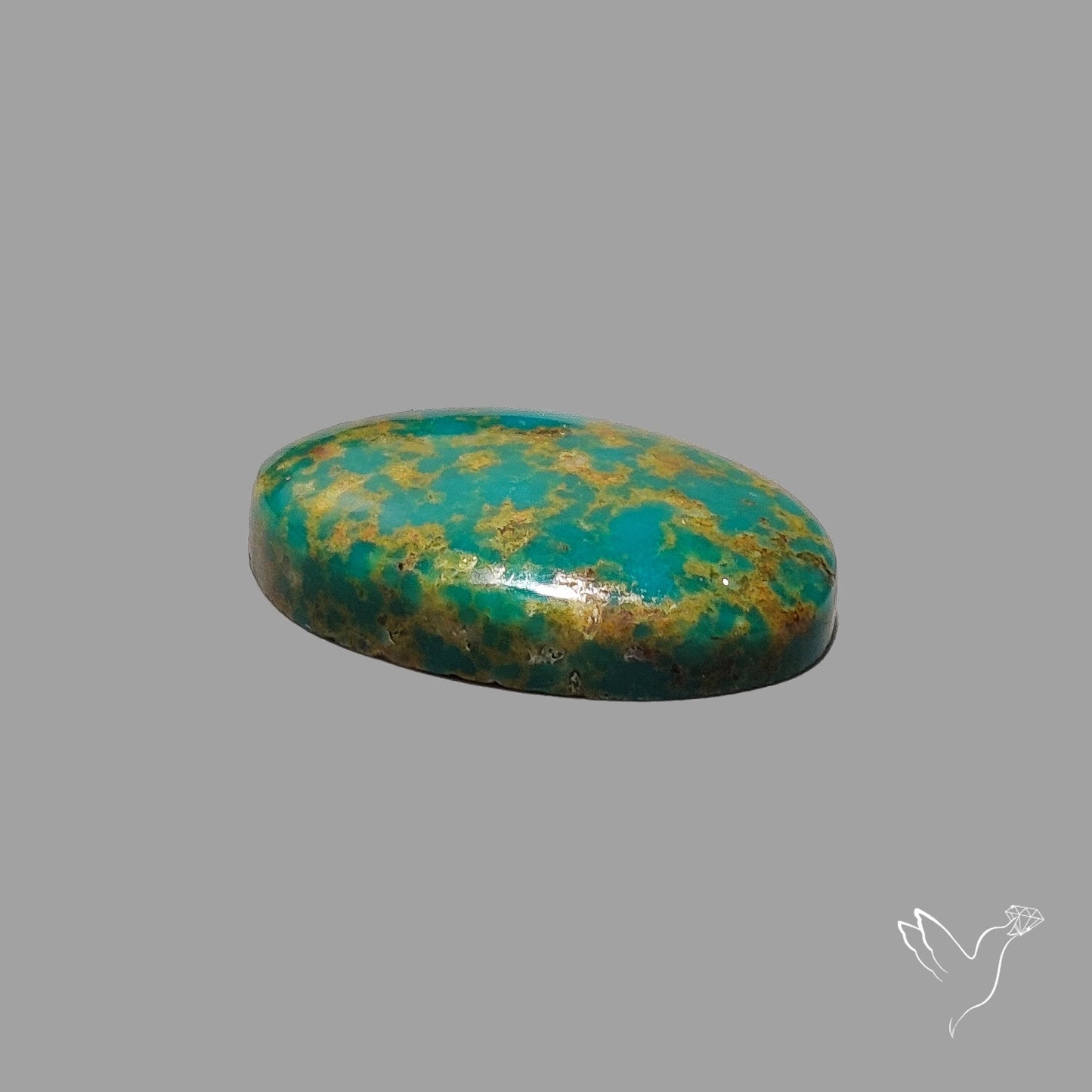 Rare Arizona Patogonia Turquoise Cabochon