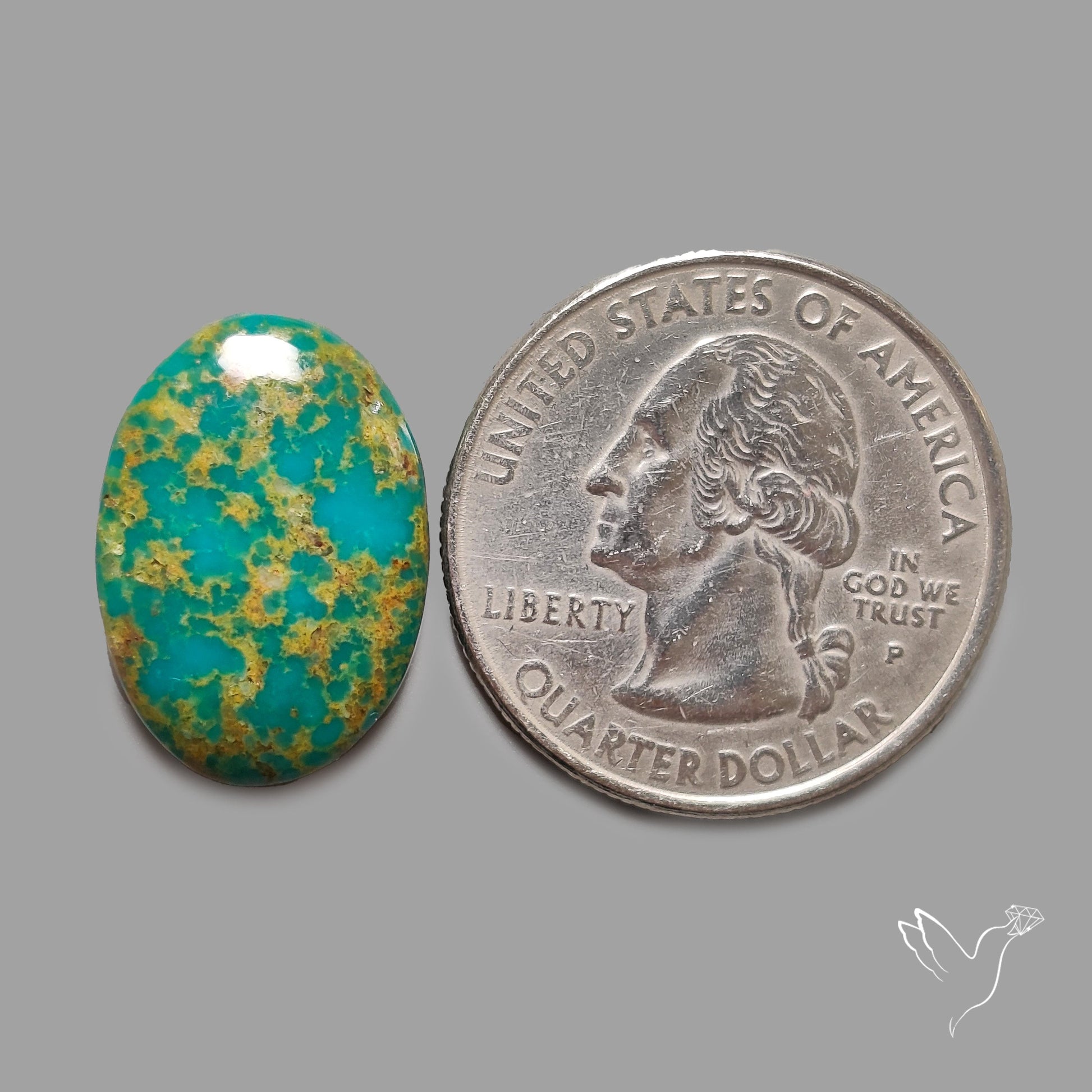 Rare Arizona Patogonia Turquoise Cabochon