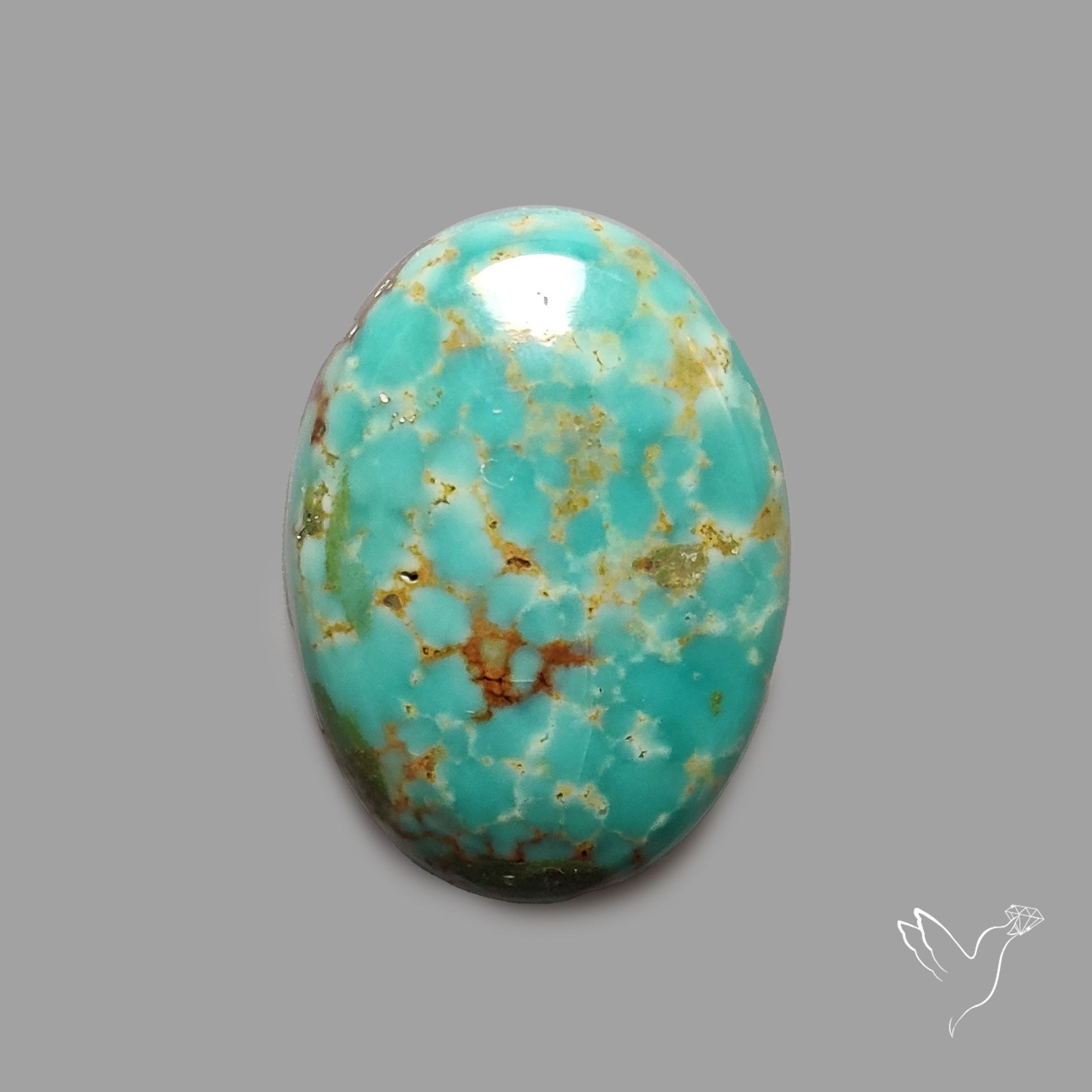 Rare Arizona Patogonia Turquoise Cabochon