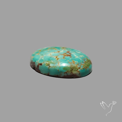 Rare Arizona Patogonia Turquoise Cabochon