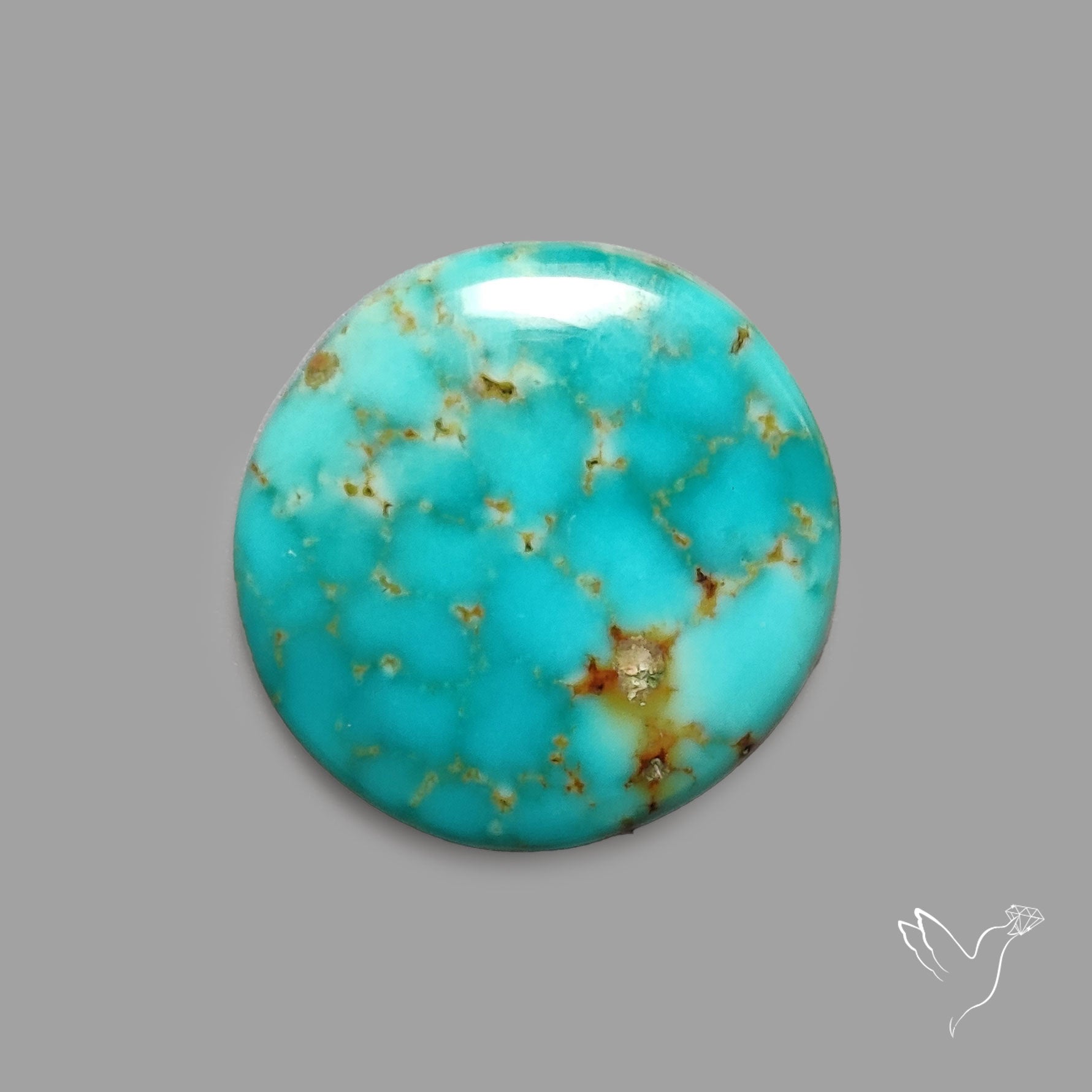 Rare Arizona Patogonia Turquoise Cabochon
