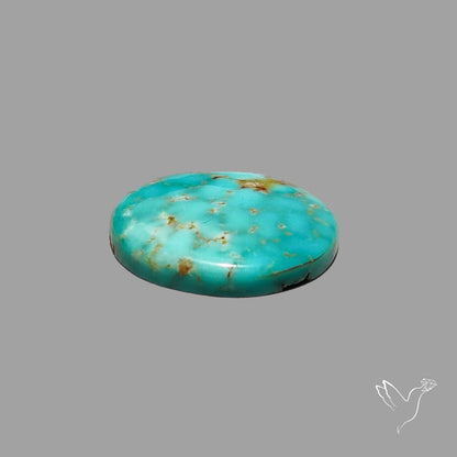 Rare Arizona Patogonia Turquoise Cabochon