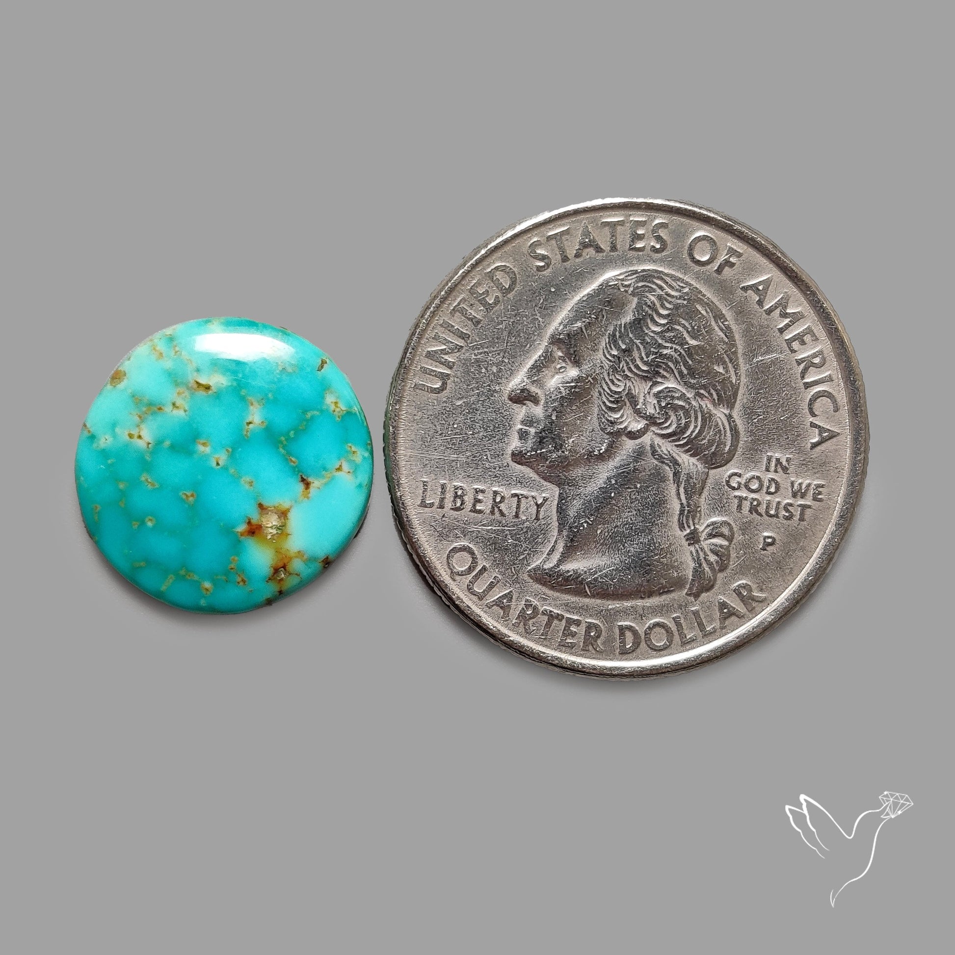 Rare Arizona Patogonia Turquoise Cabochon
