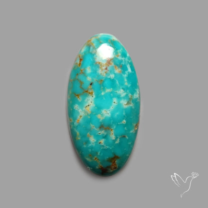 Rare Arizona Patogonia Turquoise Cabochon