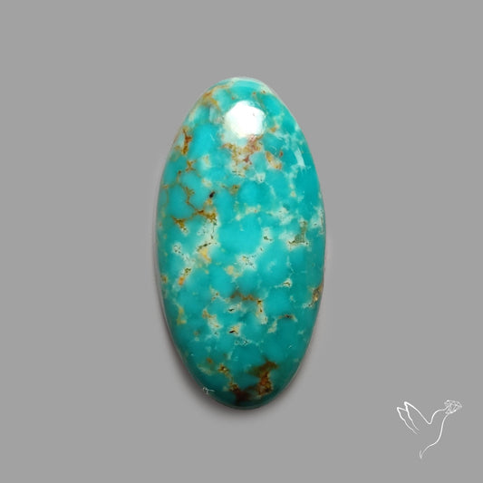 Rare Arizona Patogonia Turquoise Cabochon